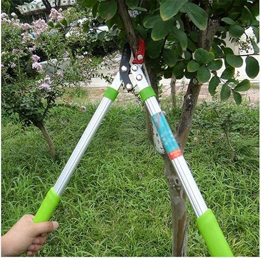 ✂️🌿 Telescopic Garden Scissors | Lightweight Precision Pruner 🌱✨