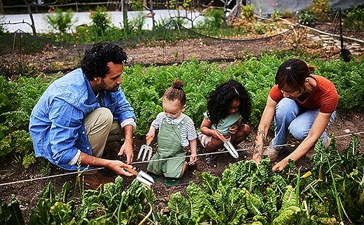 🌱✨ Garden Tool Set | Pruning & Cultivating Made Easy 🍃✂️