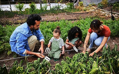 🌱✨ Garden Tool Set | Pruning & Cultivating Made Easy 🍃✂️